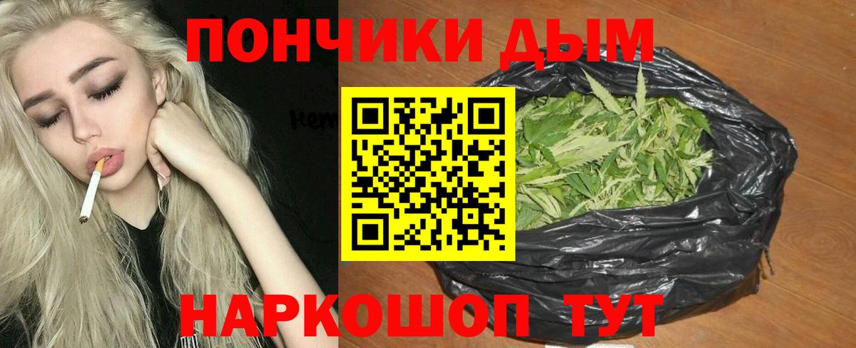 Конопля сатива  МАРИХУАНА индика  Каннабис MAZAR  Заречный 